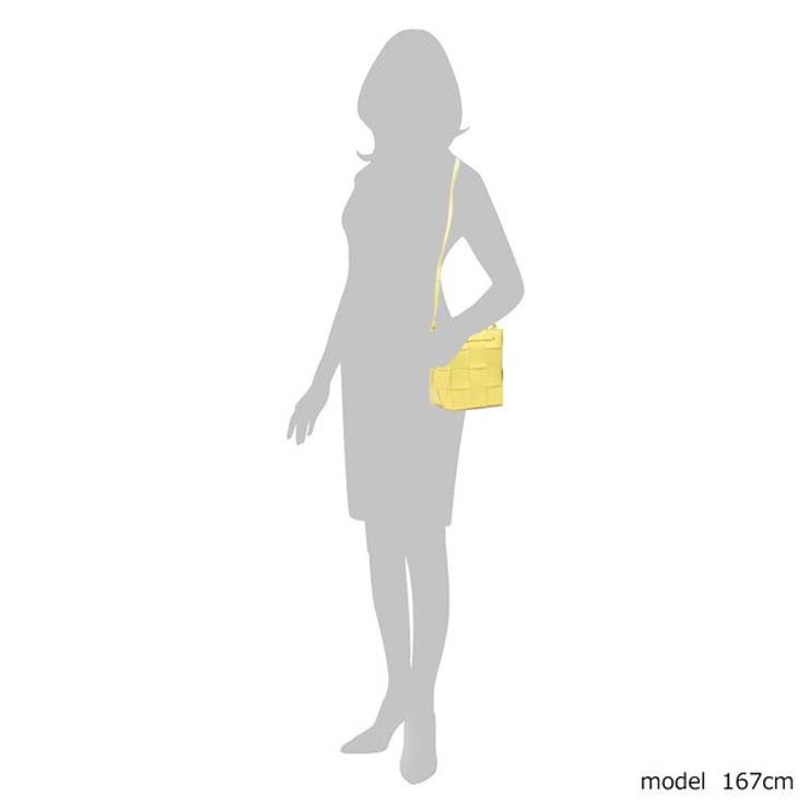 ボッテガヴェネタ ショルダーバッグ カセット | AXES | 詳細画像6 