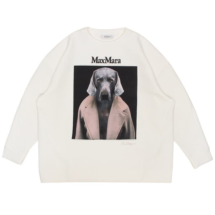 【新品】Max Mara BACCOバッコ コットン ジャージー スウェット M Max Mara MAX MARA マックスマーラ トップス スウェット