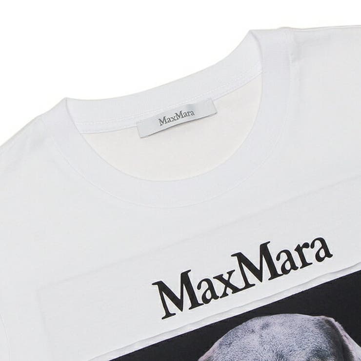 Max Mara ホワイト カットソー XSサイズ Max Mara ホワイト カットソー XSサイズ