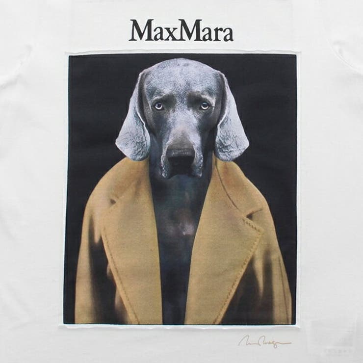 マックスマーラ Tシャツ カットソー | AXES | 詳細画像11 