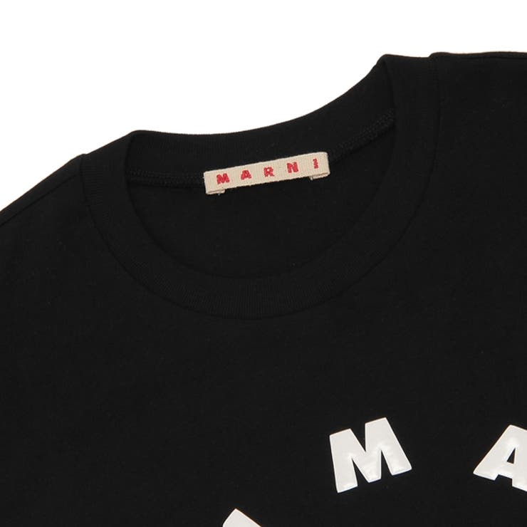 マルニ Tシャツ カットソー[品番：AXEB0033742]｜AXES（アクセス