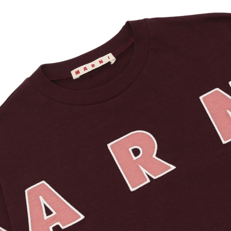 マルニ Tシャツ カットソー | AXES | 詳細画像3 