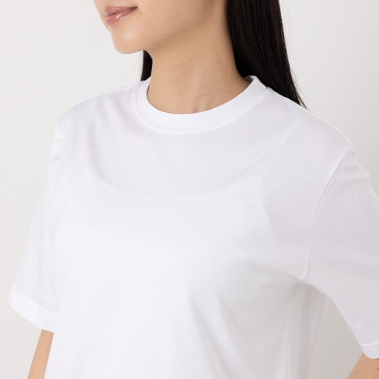 サスティTシャツレディースシーアイランドコットンSASTY291232