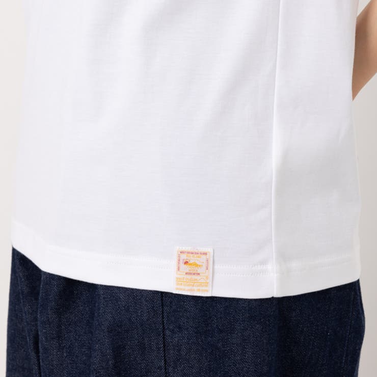 サスティTシャツレディースシーアイランドコットンSASTY291232