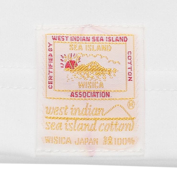 サスティ Tシャツ メンズ シーアイランドコットン SASTY 291233 | AXES | 詳細画像6