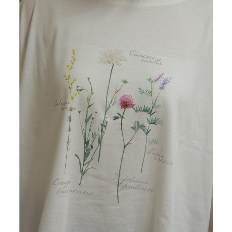 アソートＰＴフリルＴシャツ | axes femme | 詳細画像5 