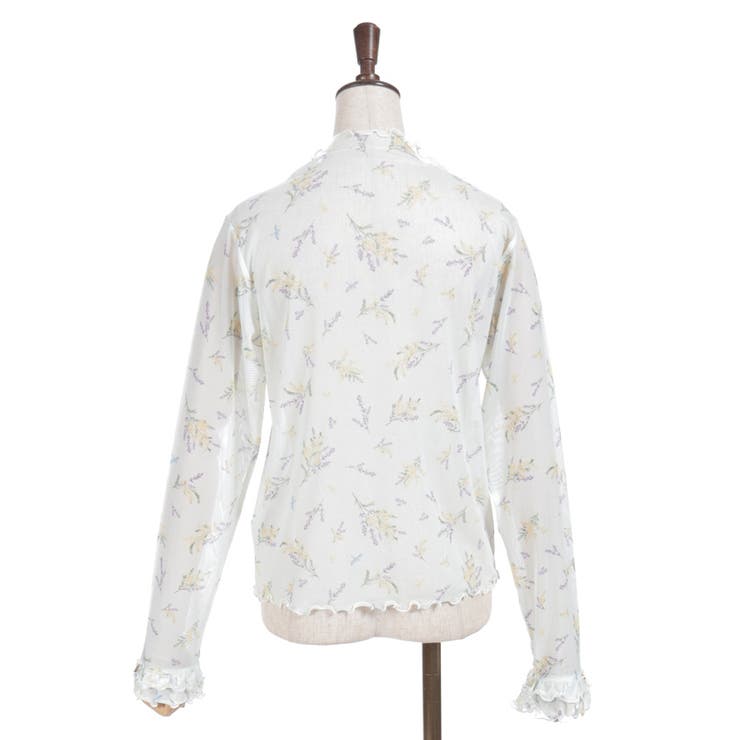 アソート柄シアーインナー | axes femme | 詳細画像16 