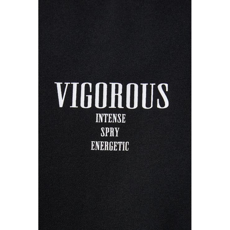 VIGOROUSビッグTシャツ | AZUL BY MOUSSY | 詳細画像19 