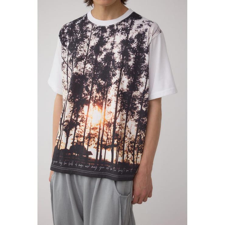 柄WHT5 | リアルランドスケープTシャツ | AZUL BY MOUSSY