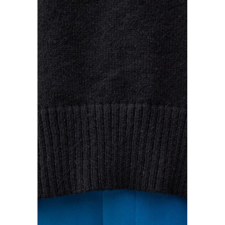 ボタンスリーブクロップドニットトップス | AZUL BY MOUSSY | 詳細画像10 