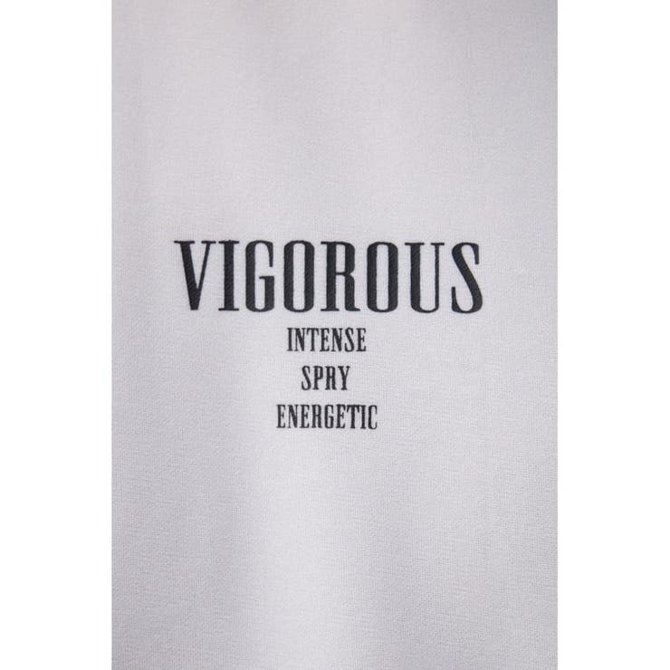 VIGOROUSビッグTシャツ | AZUL BY MOUSSY | 詳細画像9 