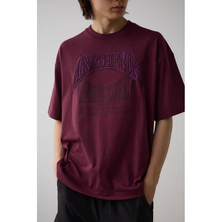 D/PUR3 | アップリケビッグTシャツ | AZUL BY MOUSSY