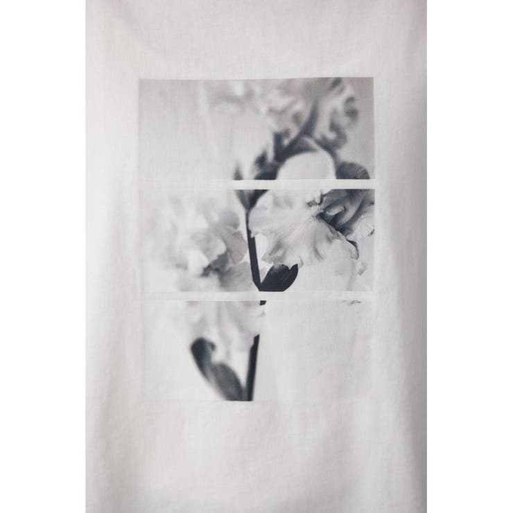 フラワーフォトTシャツ | AZUL BY MOUSSY | 詳細画像11 