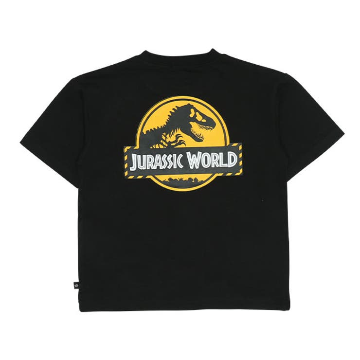 Molo モロ 恐竜 ジュラシックワールド セットアップ Tシャツ 親子お