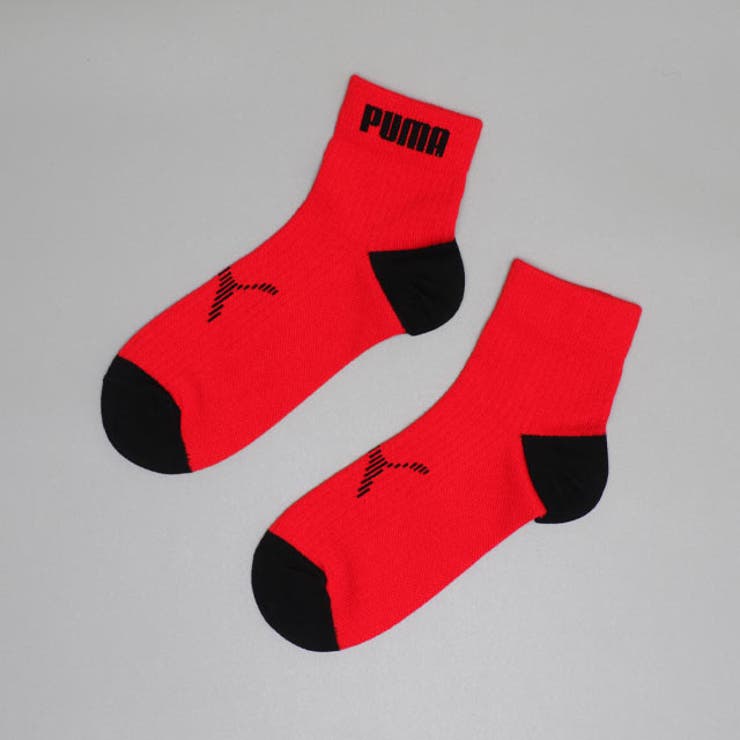 WEB限定 PUMA クルーソックス 3足セット 1091 | BABYDOLL | 詳細画像2 