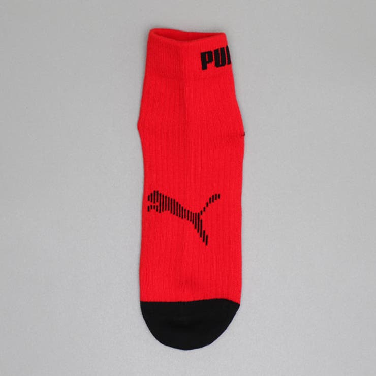 WEB限定 PUMA クルーソックス 3足セット 1091 | BABYDOLL | 詳細画像8 