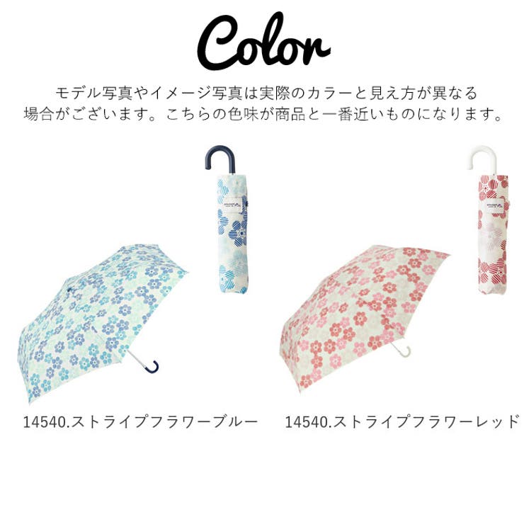 amusant sous la pluie 耐風折りたたみ傘 55cm | BACKYARD FAMILY | 詳細画像7 