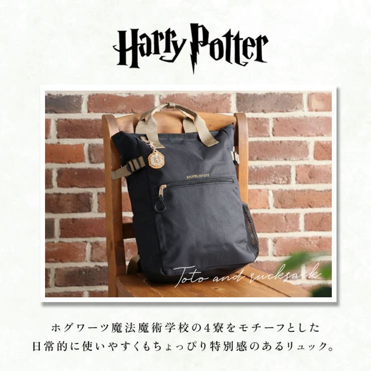 Harry PotterxFlapper ホグワーツ4寮エンブレム | BACKYARD FAMILY | 詳細画像2 