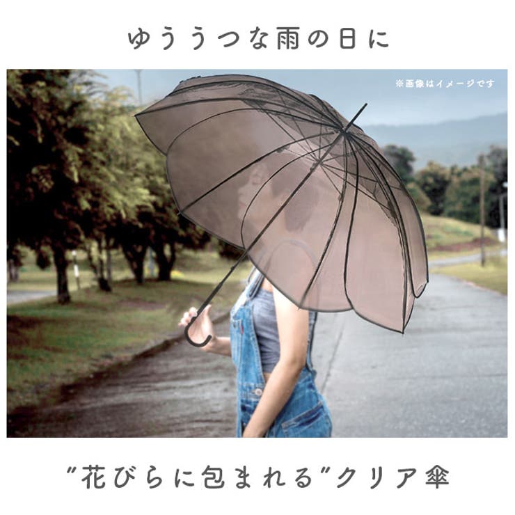 because クリアアンブレラ | BACKYARD FAMILY | 詳細画像3 