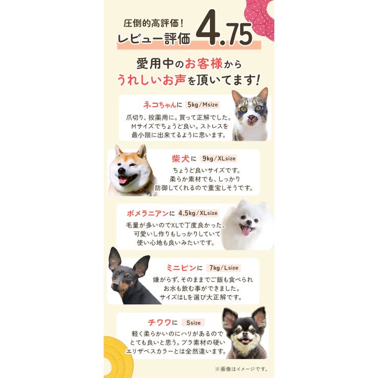 エリザベスカラー ソフト 犬 猫 花柄 bu818 | BACKYARD FAMILY | 詳細画像4 