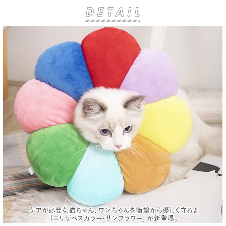エリザベスカラー サンフラワー geri40714[品番：BCYW0014091