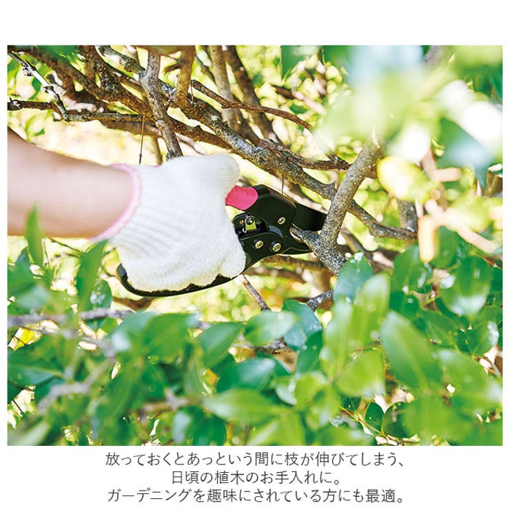 握りやすいカチカチ剪定ハサミ | BACKYARD FAMILY | 詳細画像8 