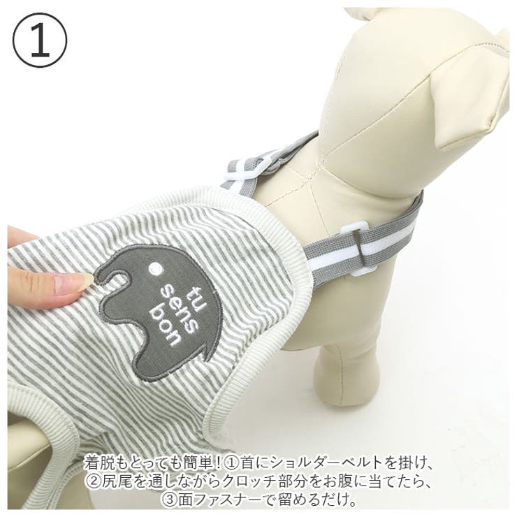ペット 生理パンツ kdog04 | BACKYARD FAMILY | 詳細画像9 