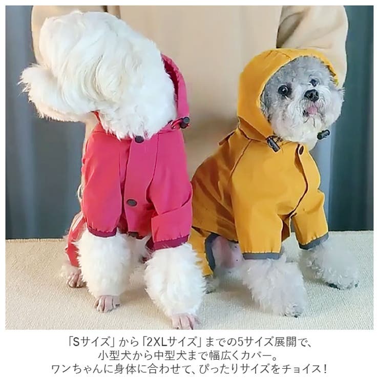 ペット フード付き レインコート gpetwear4920 | BACKYARD FAMILY | 詳細画像3 
