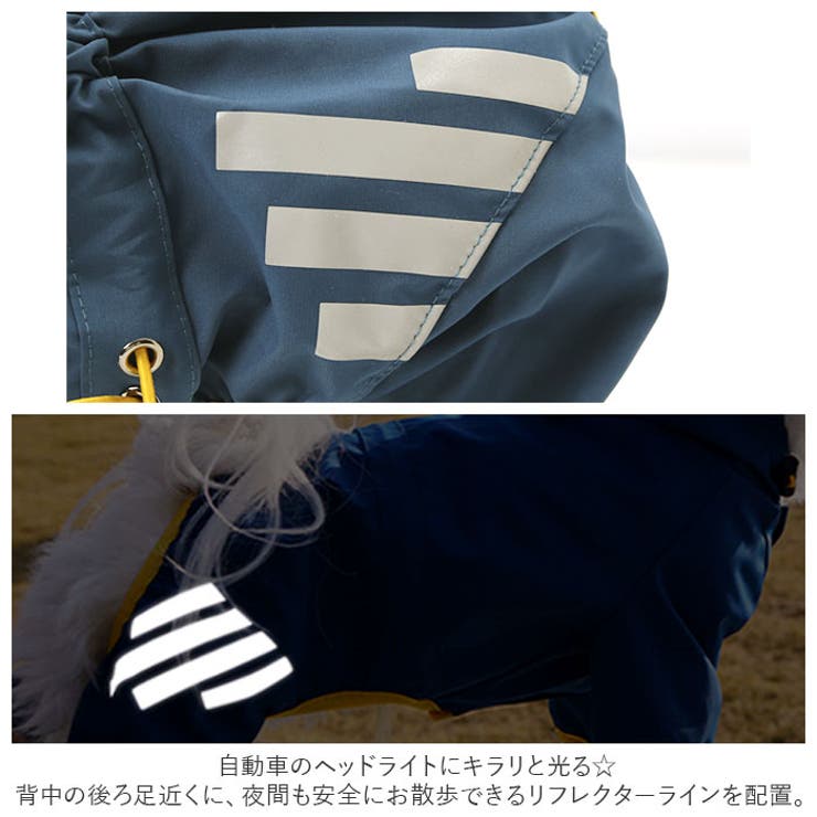 ペット フード付き レインコート gpetwear4920 | BACKYARD FAMILY | 詳細画像9 