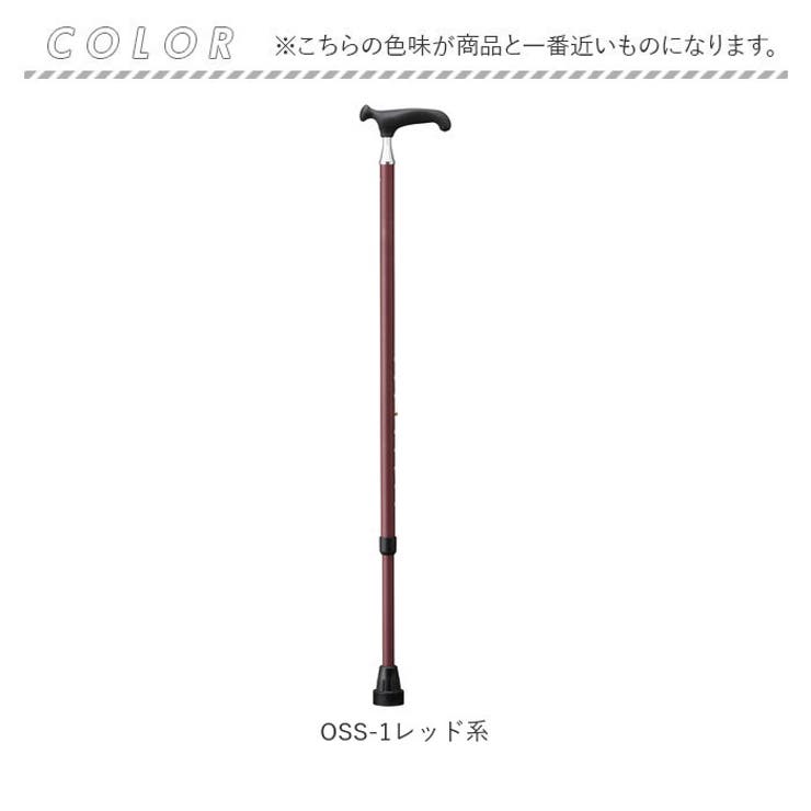 杖