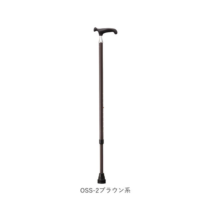 杖