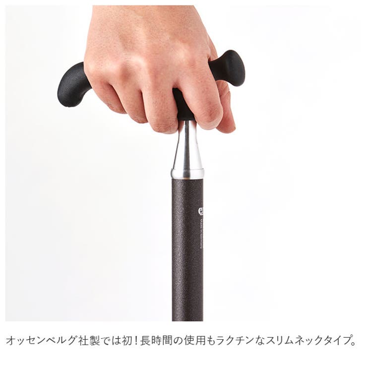 杖