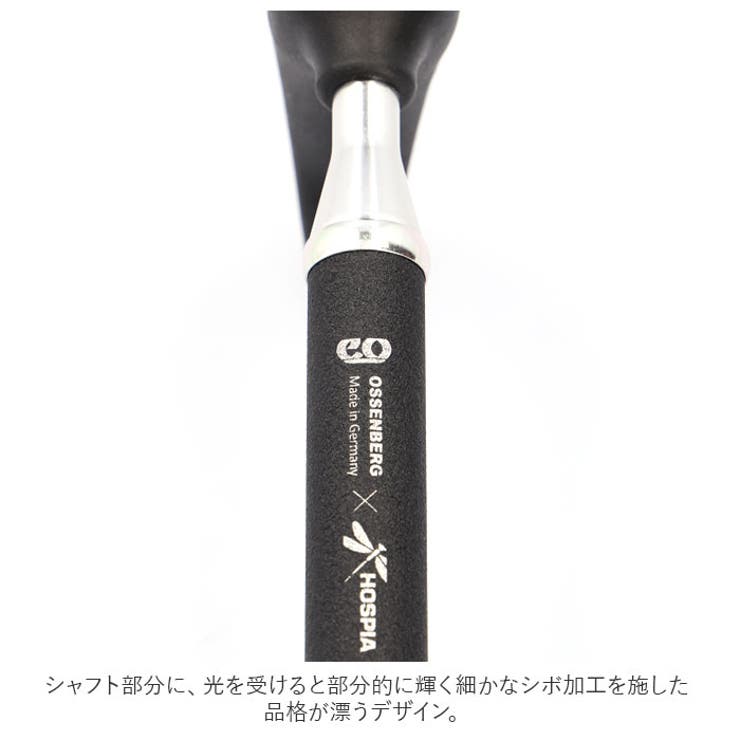 杖
