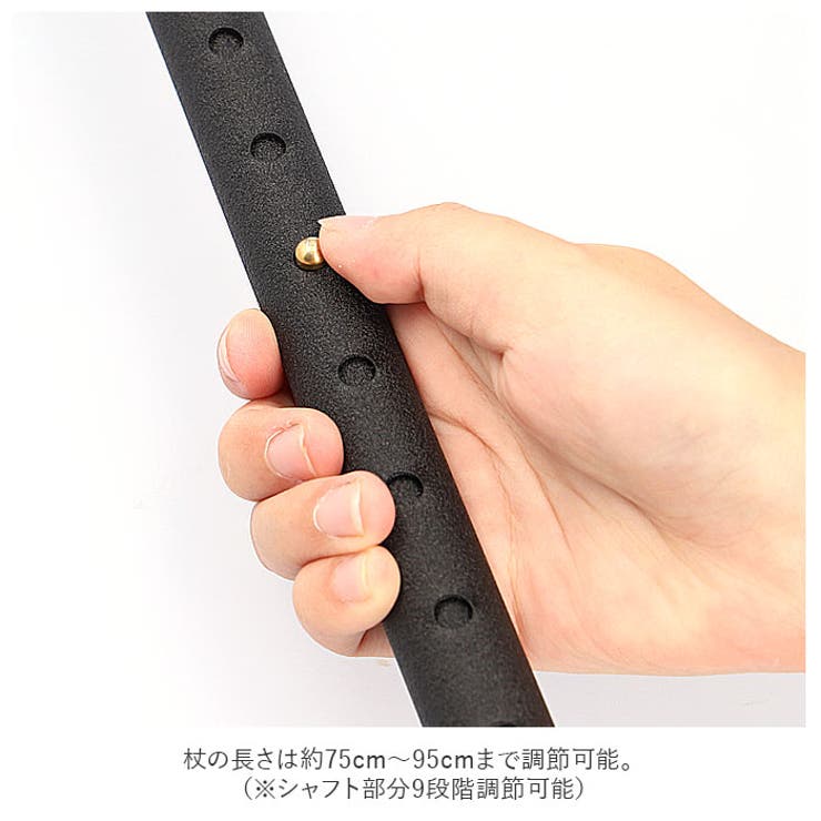 杖