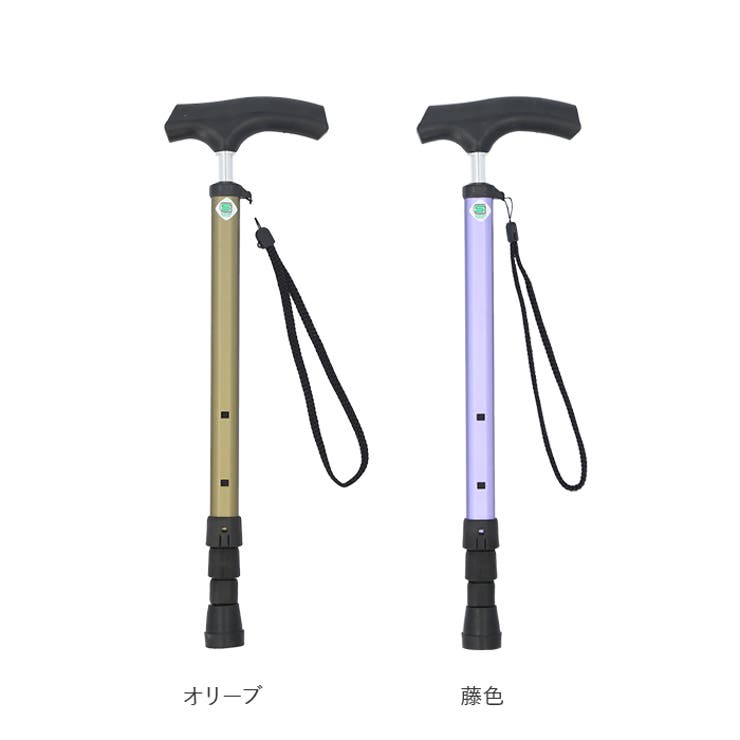 杖
