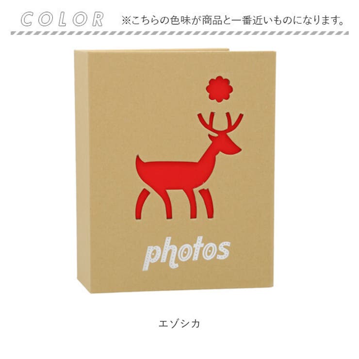 アルバム pmy1200 | BACKYARD FAMILY | 詳細画像8 