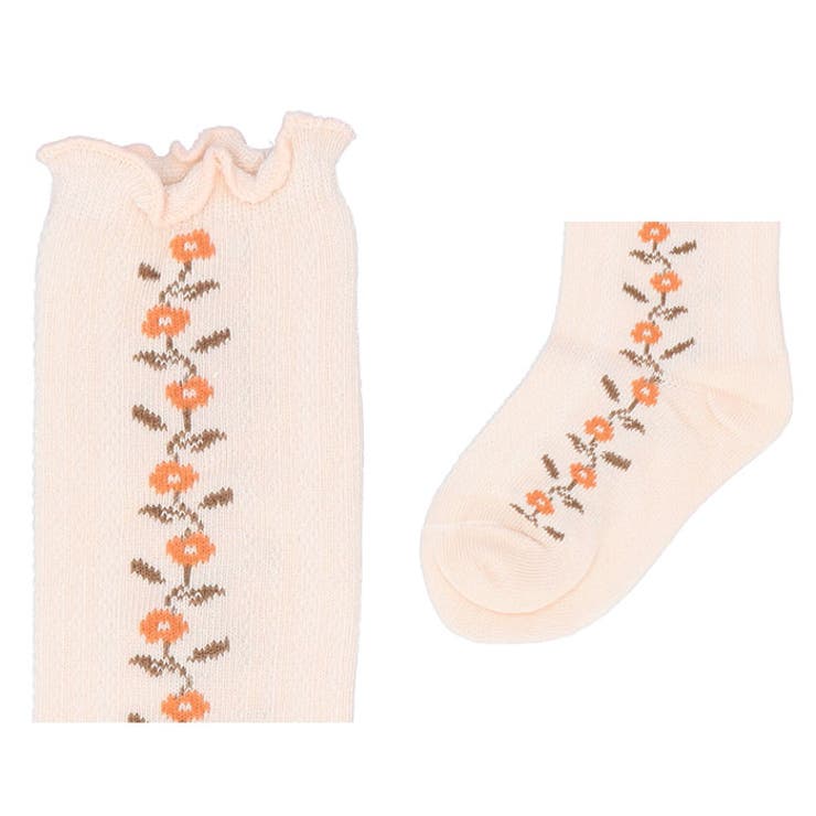 キッズ ソックス 春秋 sesocks8042 | BACKYARD FAMILY | 詳細画像11 