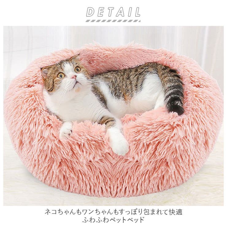 ペット