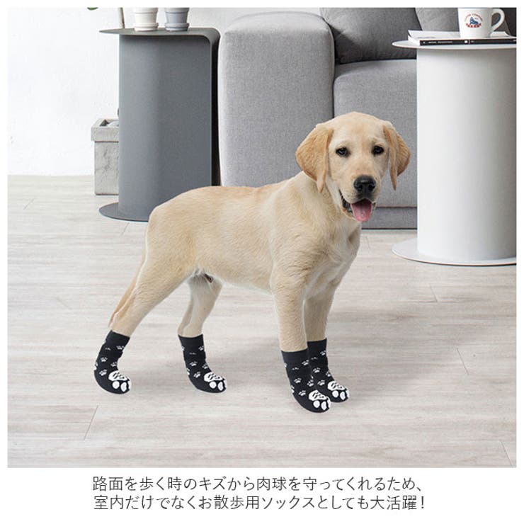 ペットソックス 靴下 yapetsocks6895 | BACKYARD FAMILY | 詳細画像3 