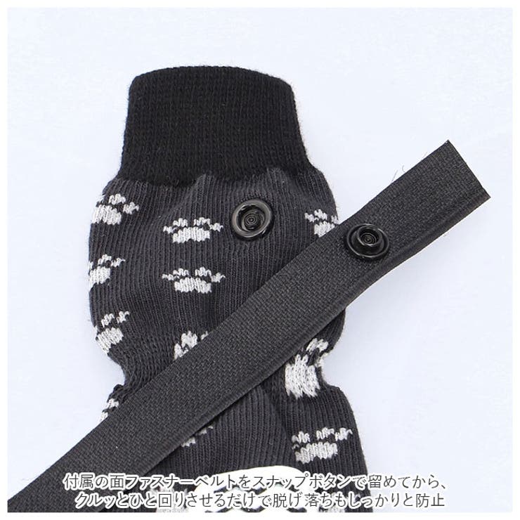 ペットソックス 靴下 yapetsocks6895 | BACKYARD FAMILY | 詳細画像6 