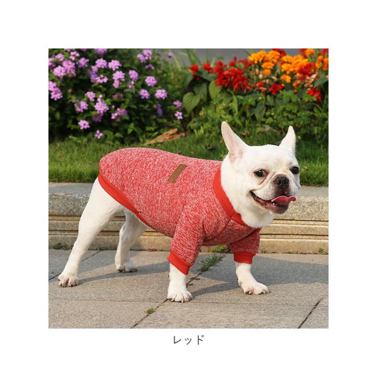 犬服 ペット服 可愛い 秋冬 petweardm13 | BACKYARD FAMILY | 詳細画像14 