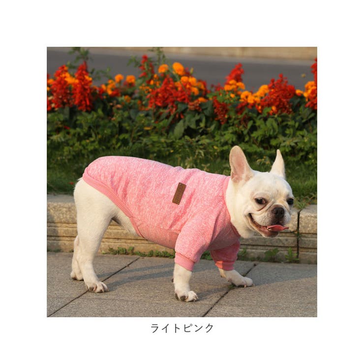 犬服 ペット服 可愛い 秋冬 petweardm13 | BACKYARD FAMILY | 詳細画像16 