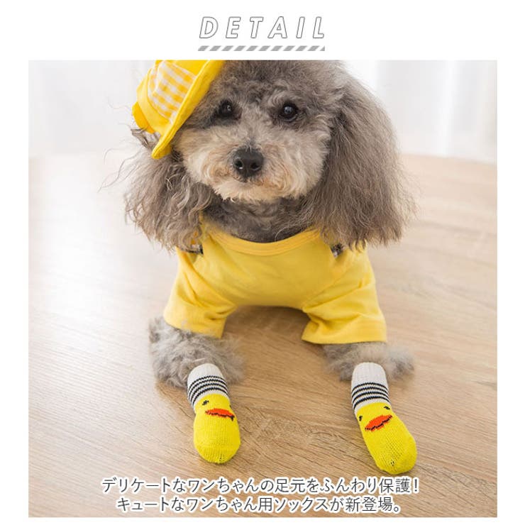 犬