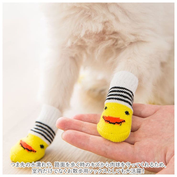 犬