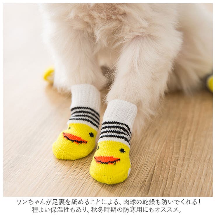 犬