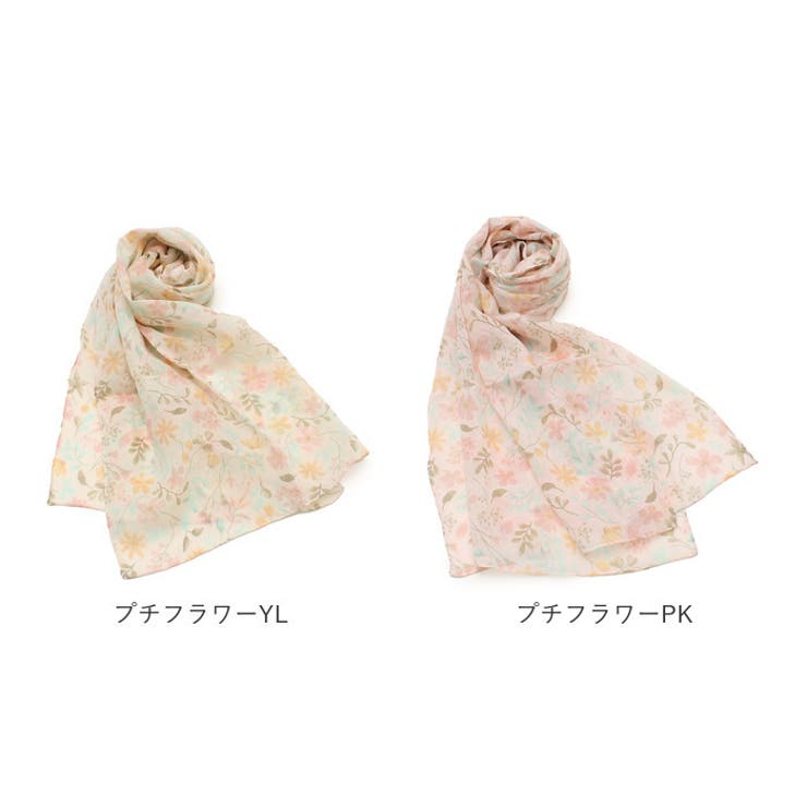 コットン