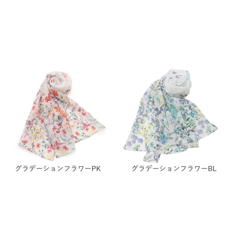 コットン