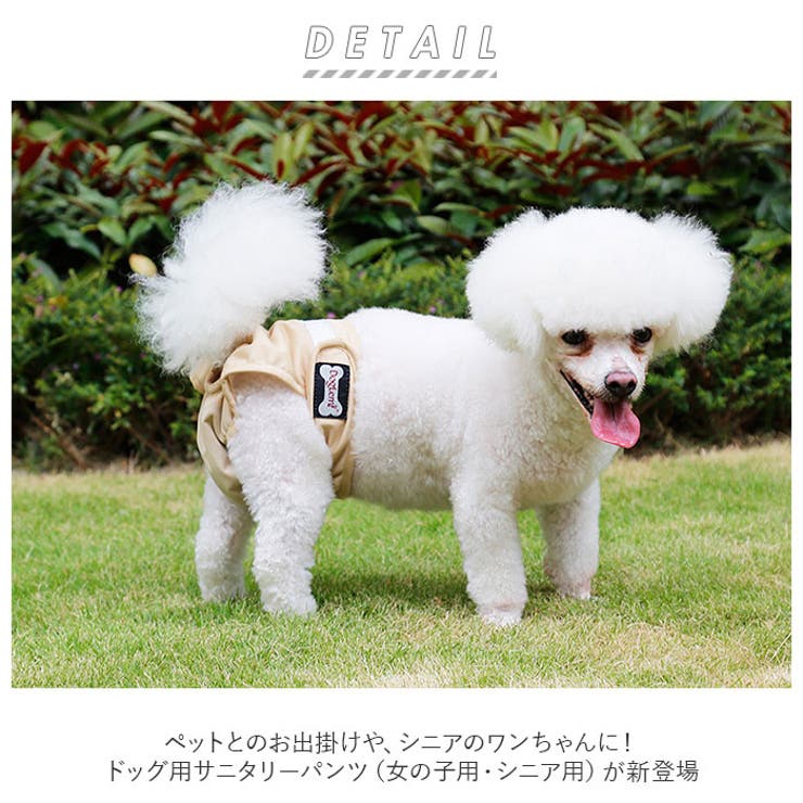 サニタリーパンツ 生理パンツ 女の子 犬 dogsp0032