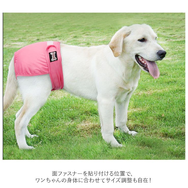 サニタリーパンツ 生理パンツ 女の子 犬 dogsp0032[品番