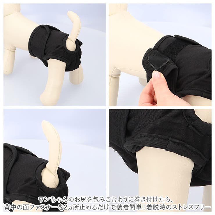 サニタリーパンツ 生理パンツ 女の子 犬 dogsp0032 | BACKYARD FAMILY | 詳細画像5